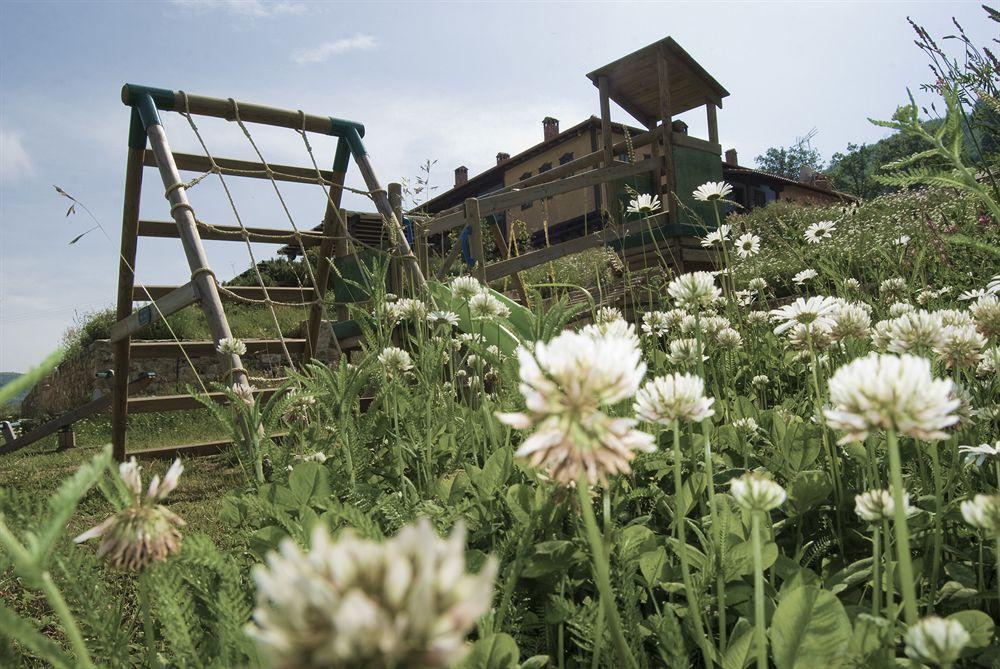 Ktima Bellou Agios Dimitrios (Pieria)